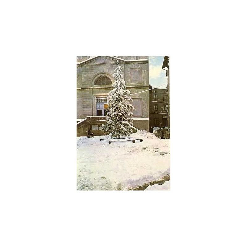 L'arbre de Nadal, Sant Hilari Sacalm