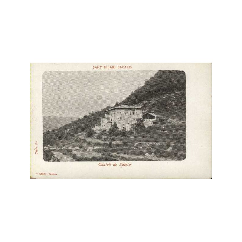 Sant Hilari Sacalm, Castell de Saleta