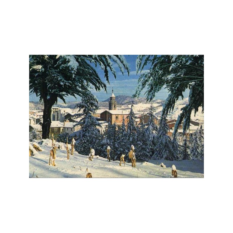 Sant Hilari Sacalm, paisatge d'hivern