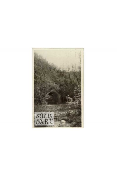 Sant Hilari Sacalm, Font Picant nº1