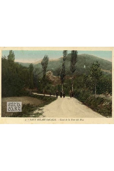 Sant Hilari Sacalm, Camí de la Font del Pico