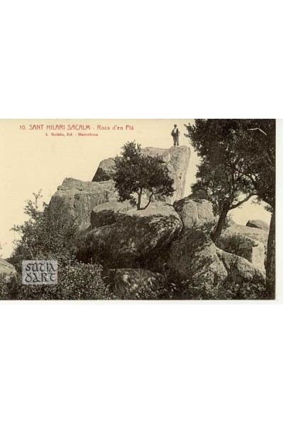 Sant Hilari Sacalm,Roca d'en Pla